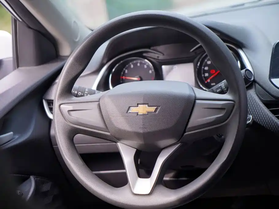 Chevrolet Cavalier 2020 — фото 12