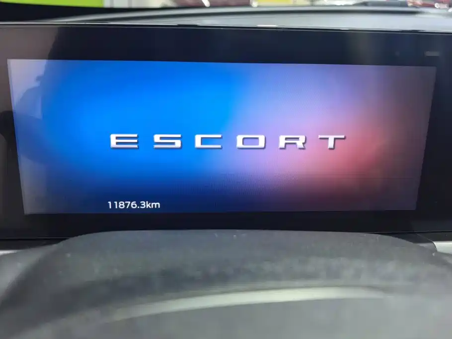 Ford Escort 2022 — фото 14