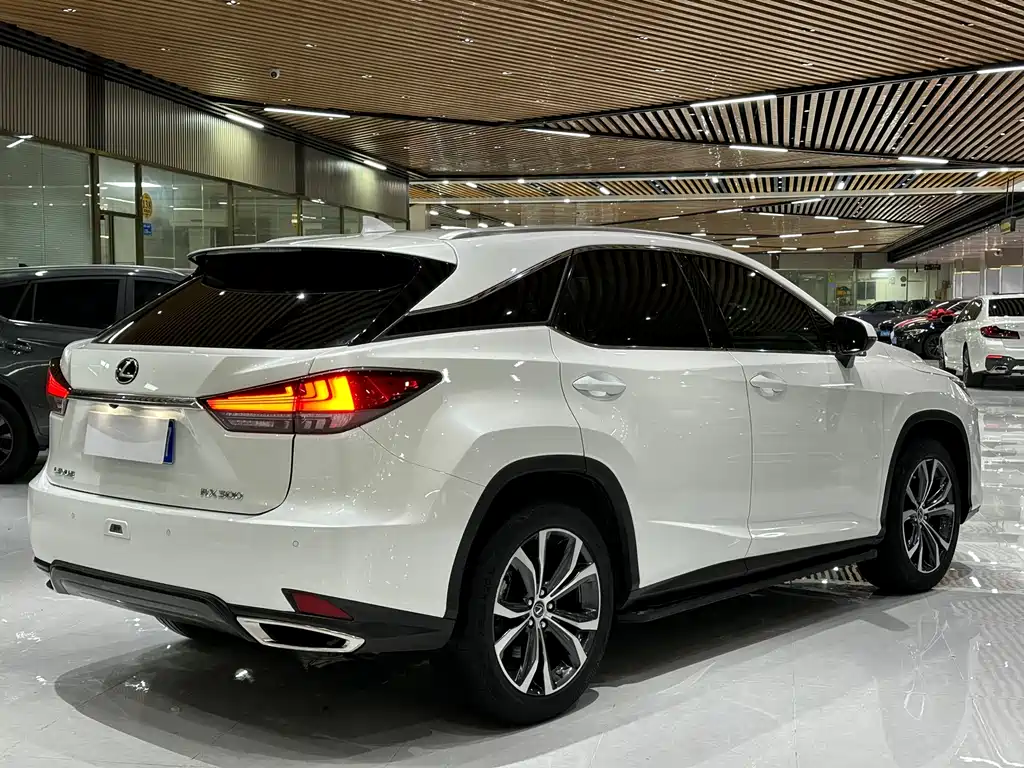 Lexus RX 2022 — фото 6