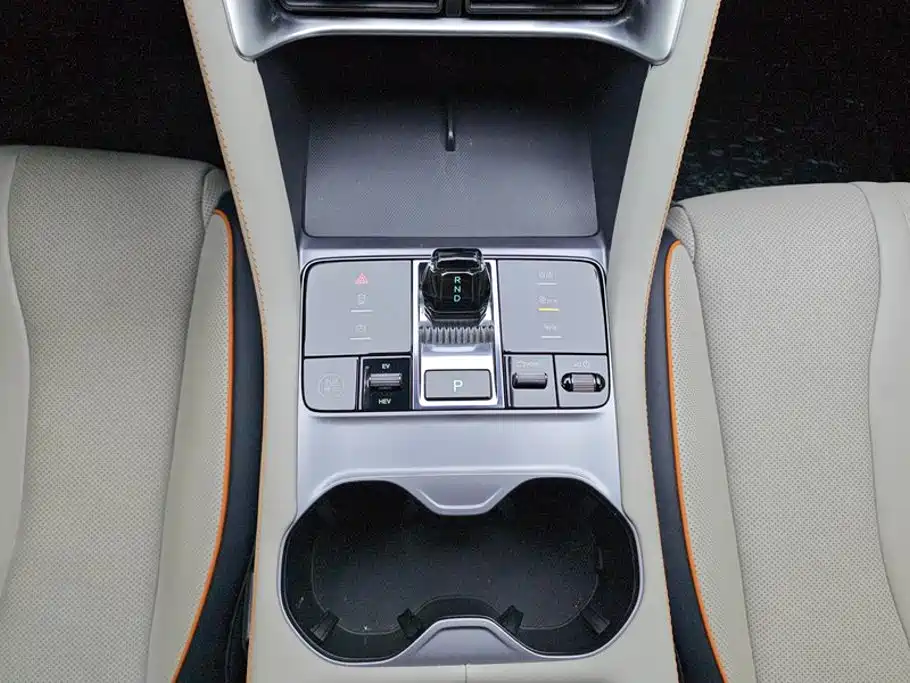 BYD Song PLUS New Energy 2024 — фото 16