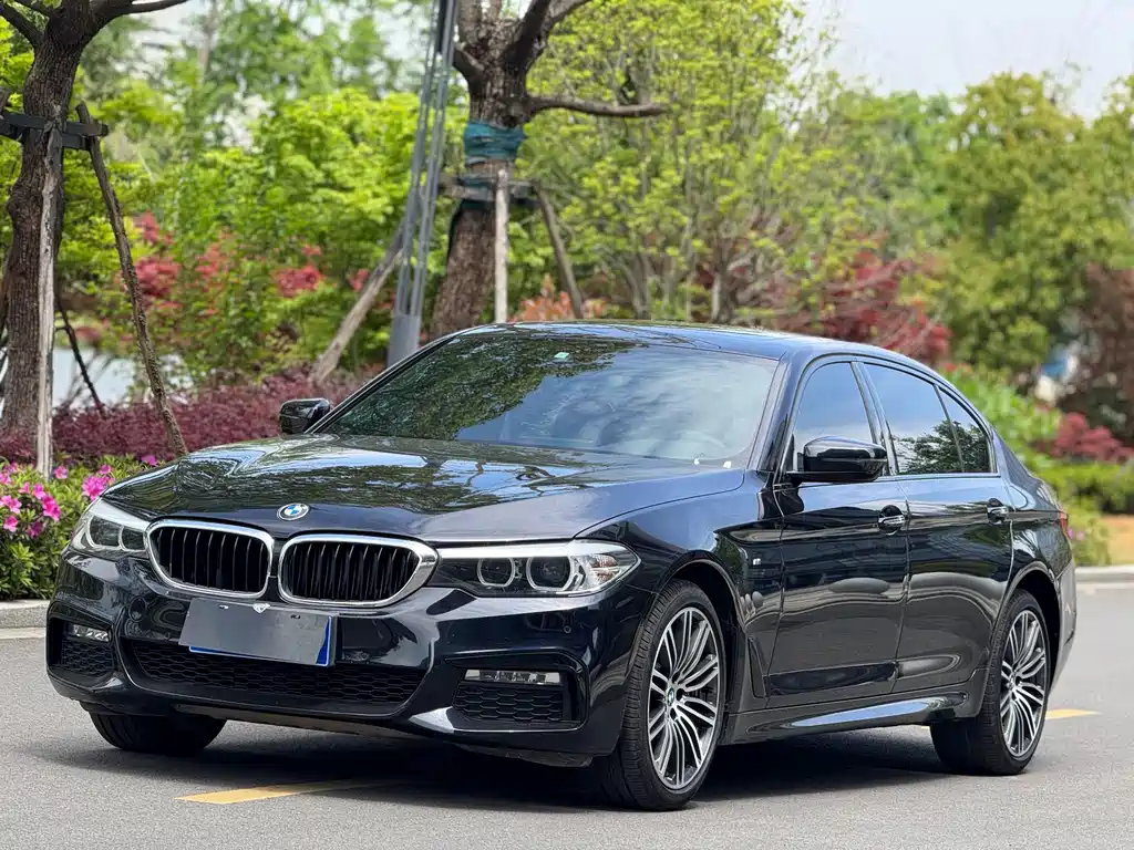 BMW 5 Series 2018