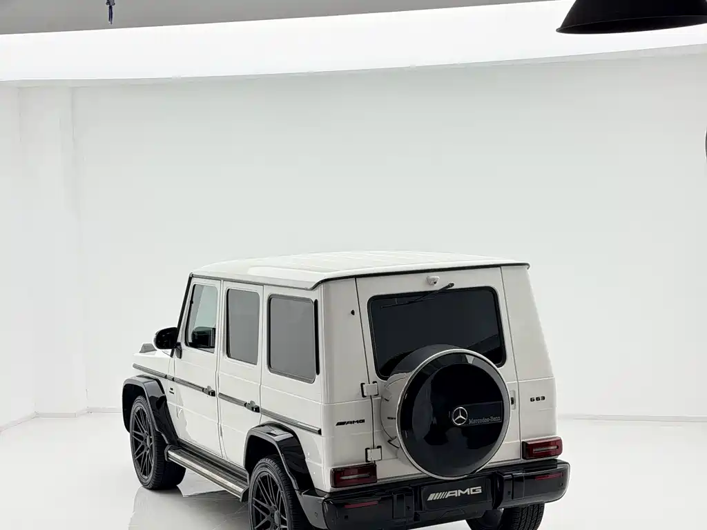 Mercedes-Benz G-Class 2018 — фото 15