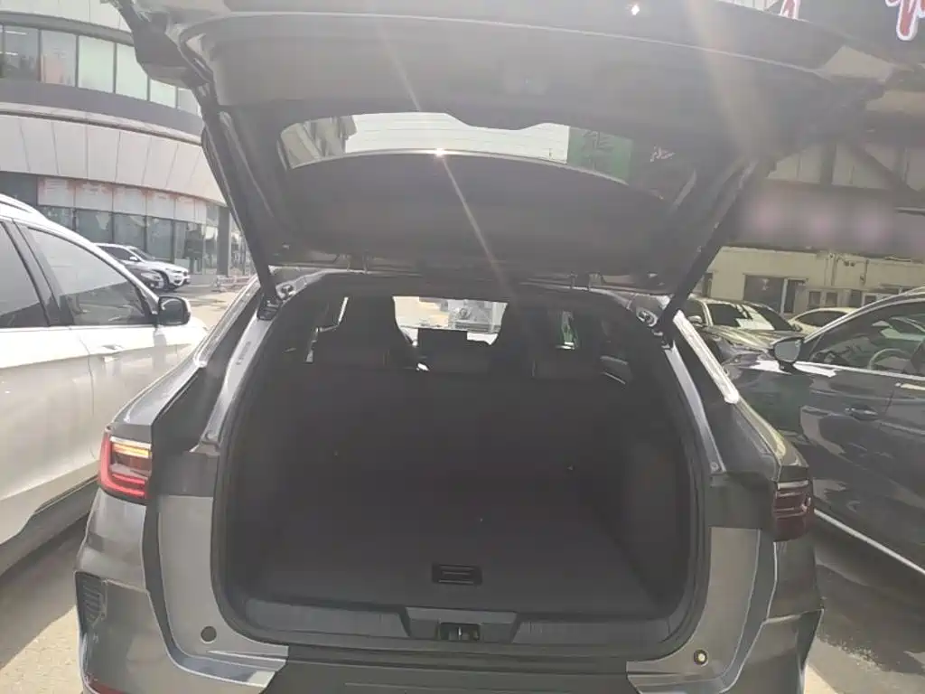 BYD PLUS New Energy 2022 — фото 19
