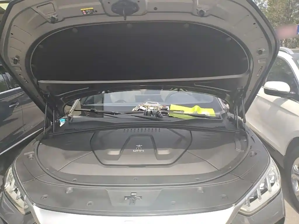 BYD PLUS New Energy 2022 — фото 20