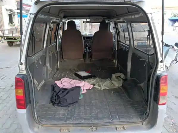 Wuling Sunshine 2020