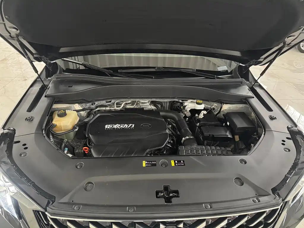 GAC Motor Trumpchi GS8 2023 — фото 15