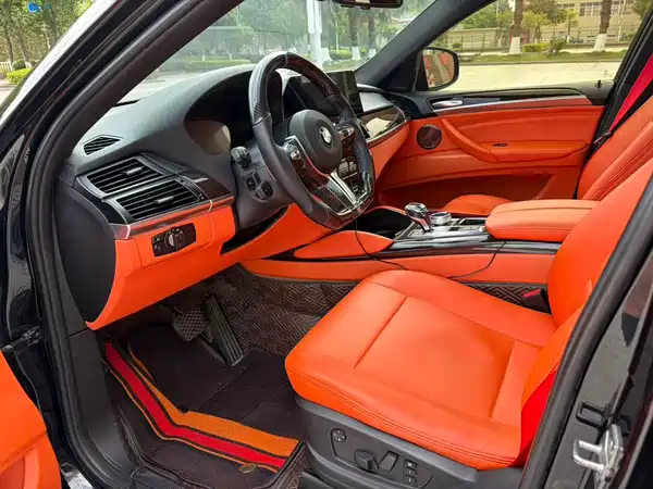 BMW X6 2011