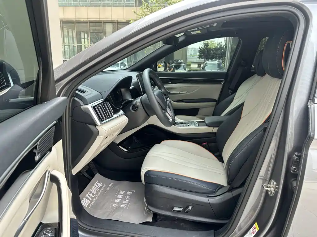 BYD Song PLUS New Energy 2022 — фото 9