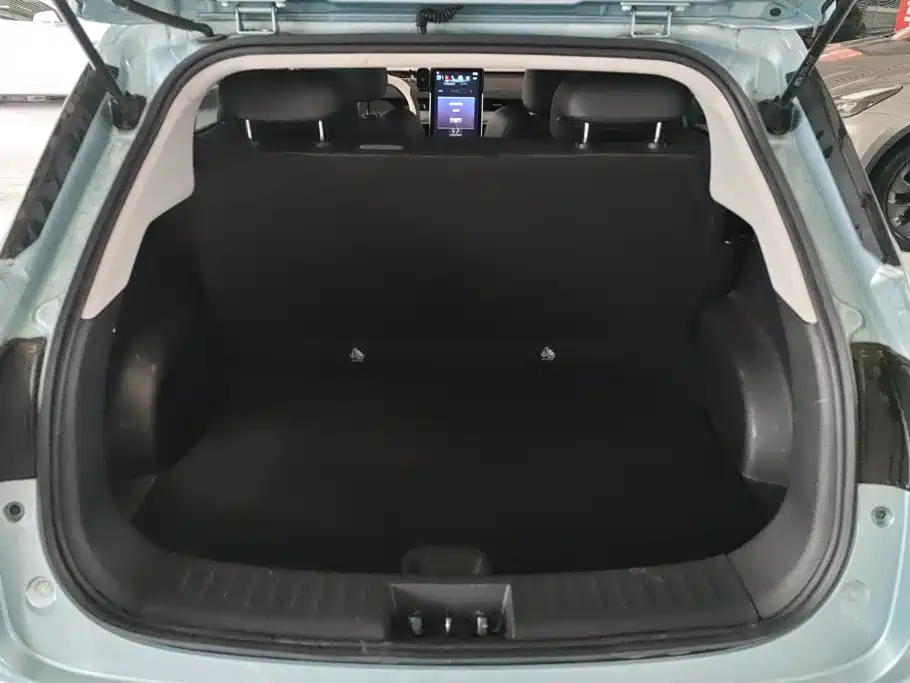Neta V 2021