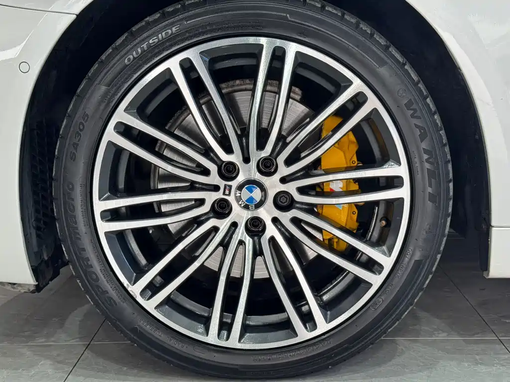 BMW 5 Series 2018 — фото 6