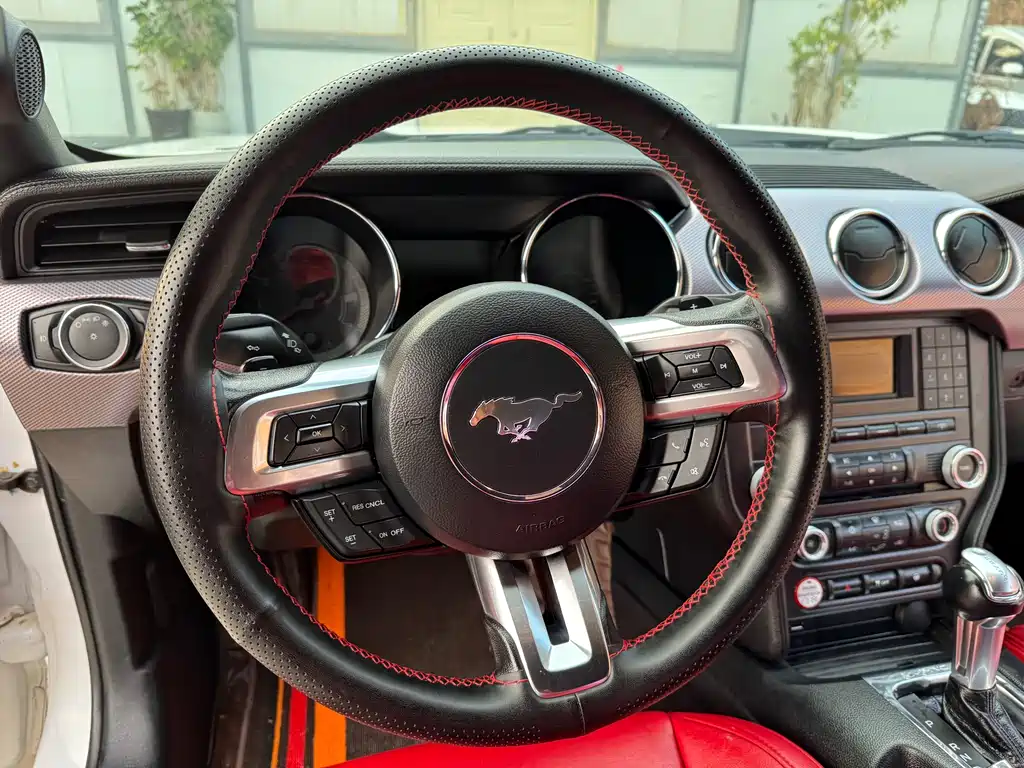 Ford Mustang 2017 — фото 13