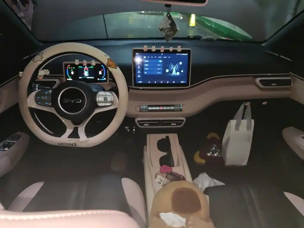 BYD Seagull 2024