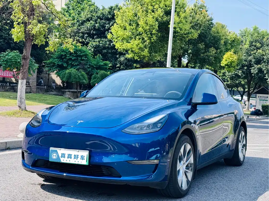 Tesla Model 3 2021 — фото 1