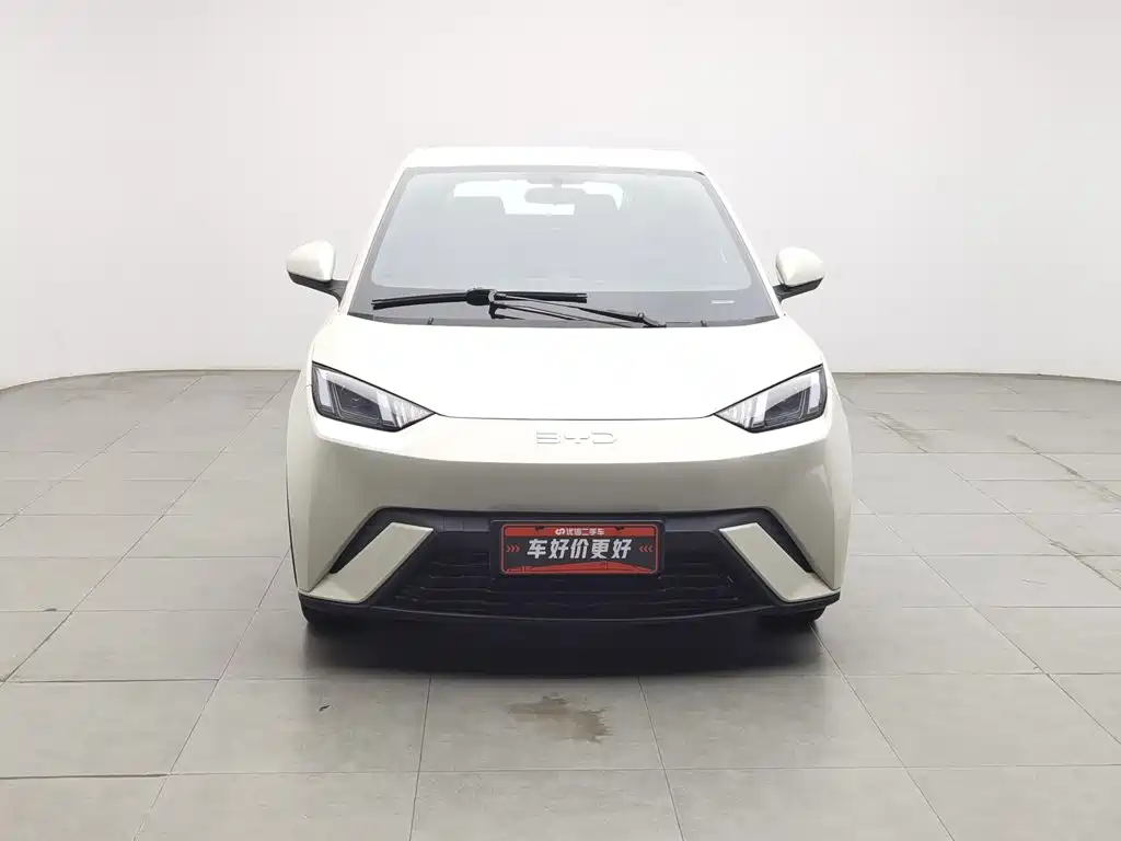 BYD Seagull 2024