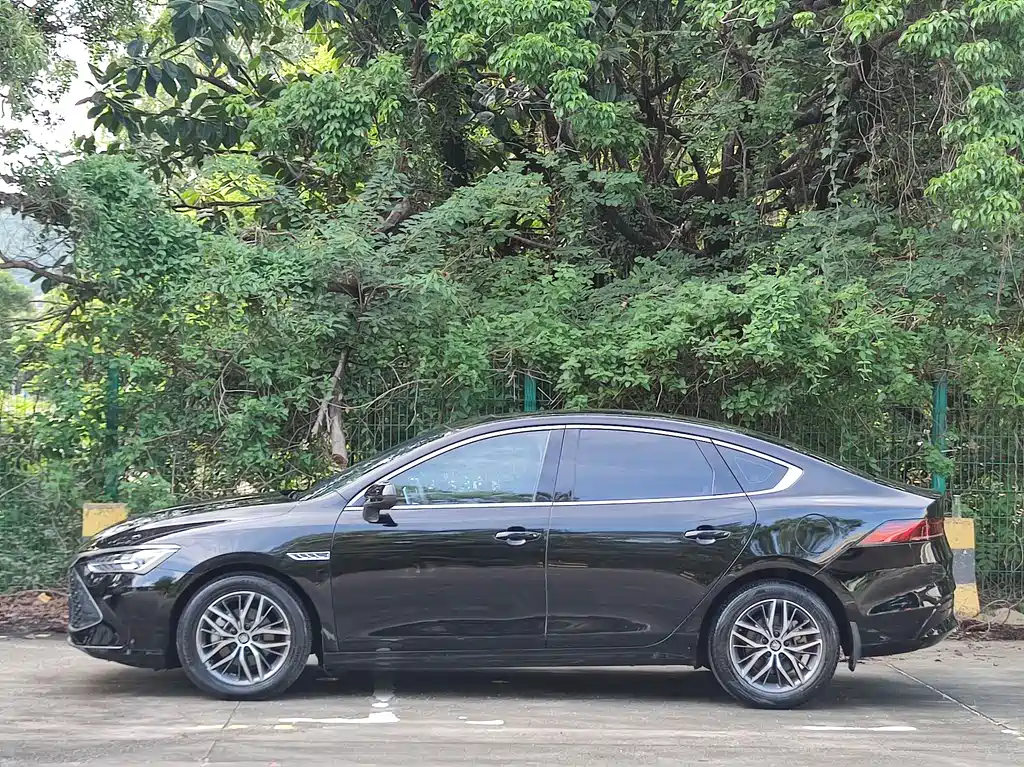 BYD Qin PLUS 2021