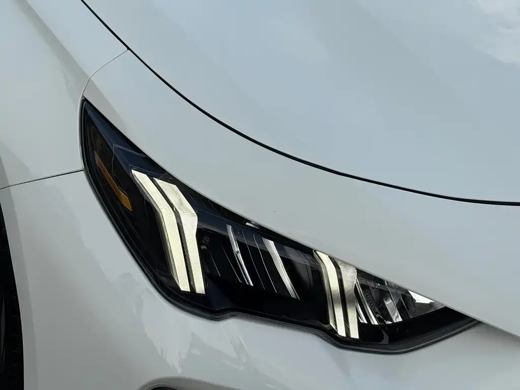 GAC Motor Shadow Leopard 2023 — фото 4