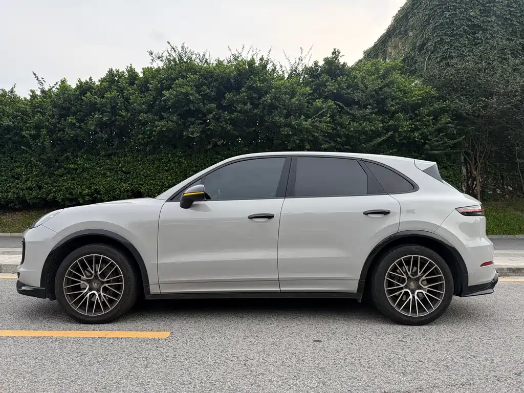 Porsche Cayenne 2019 — фото 13