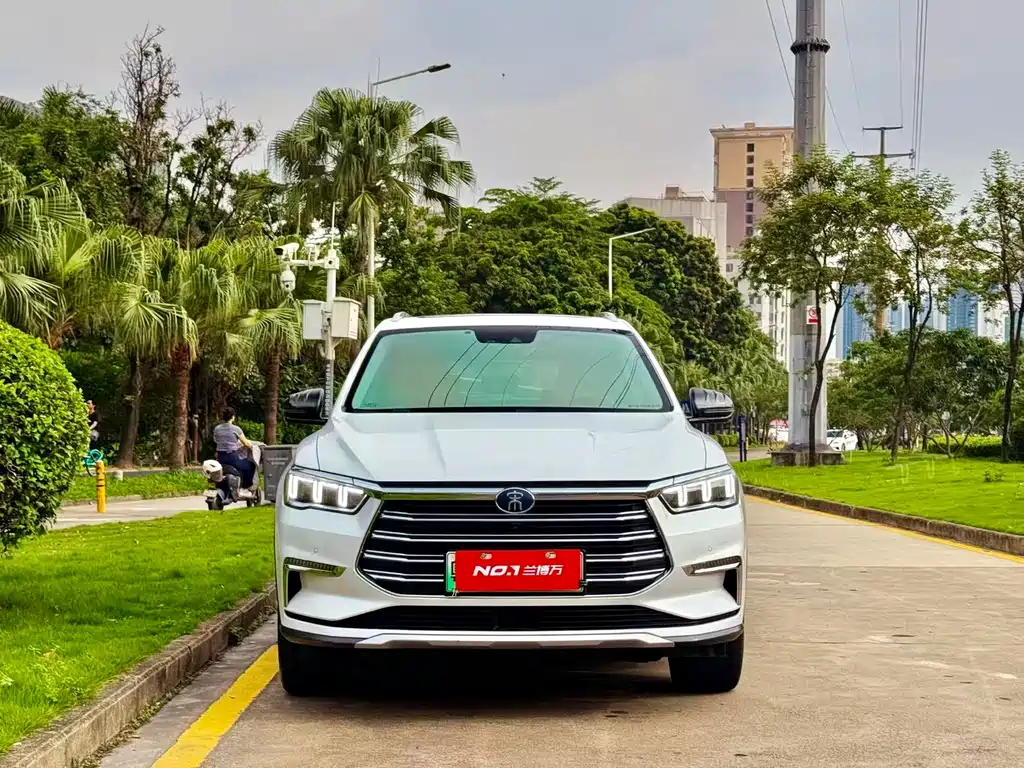 BYD Pro New Energy 2020 — фото 2