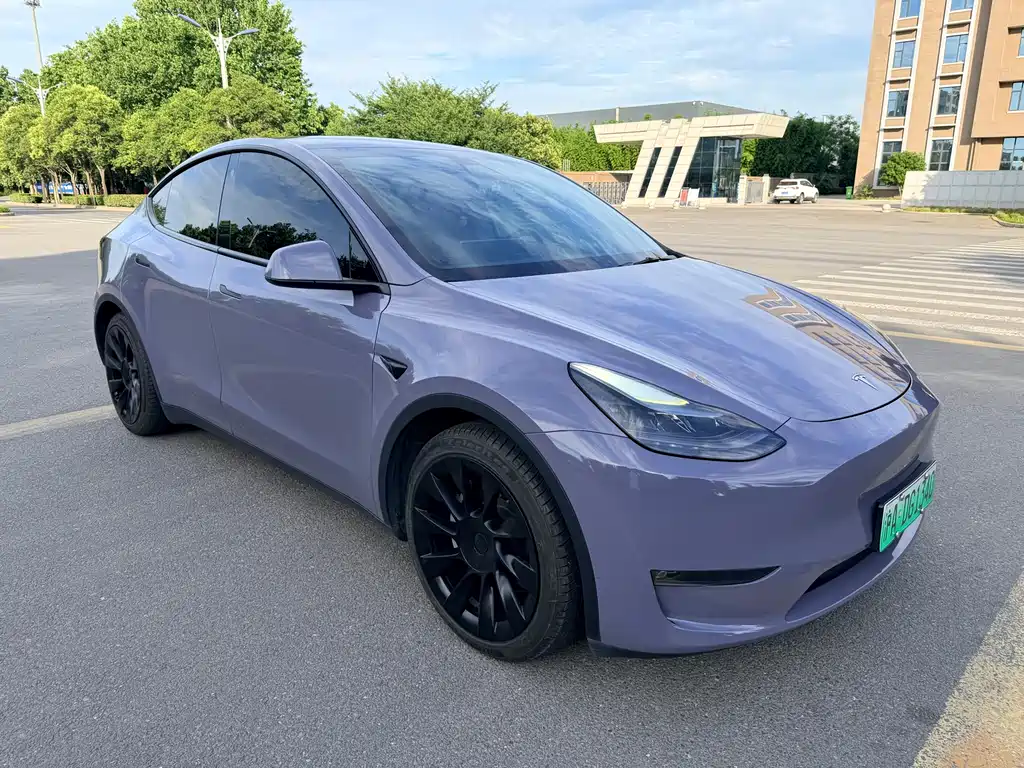 Tesla Model Y 2021 — фото 3