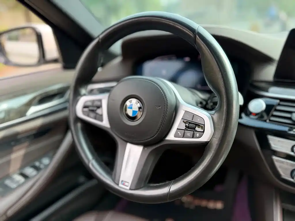 BMW 5 Series 2020 — фото 14