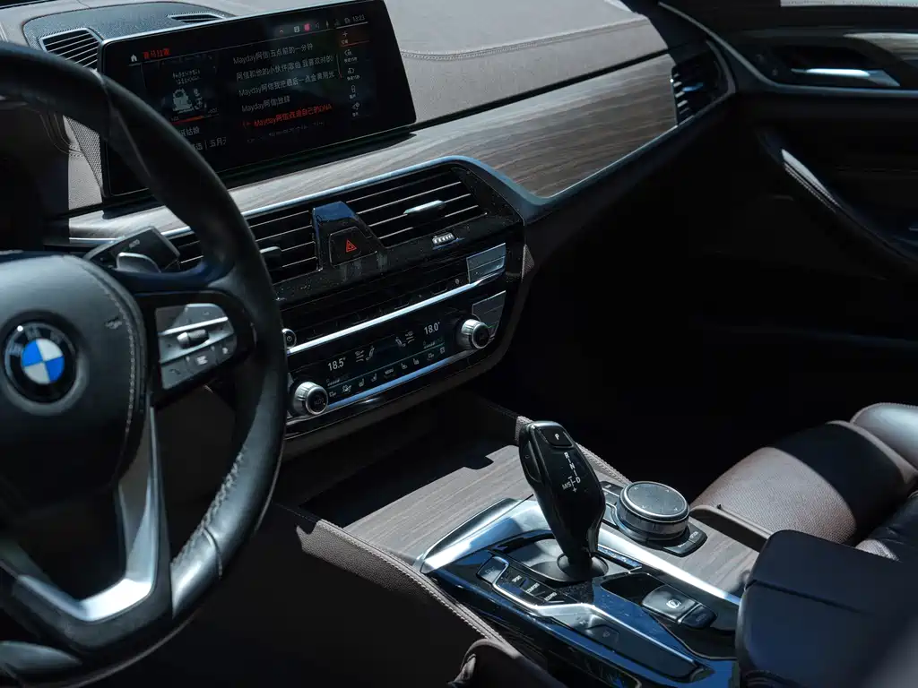 BMW 5 Series 2019 — фото 16