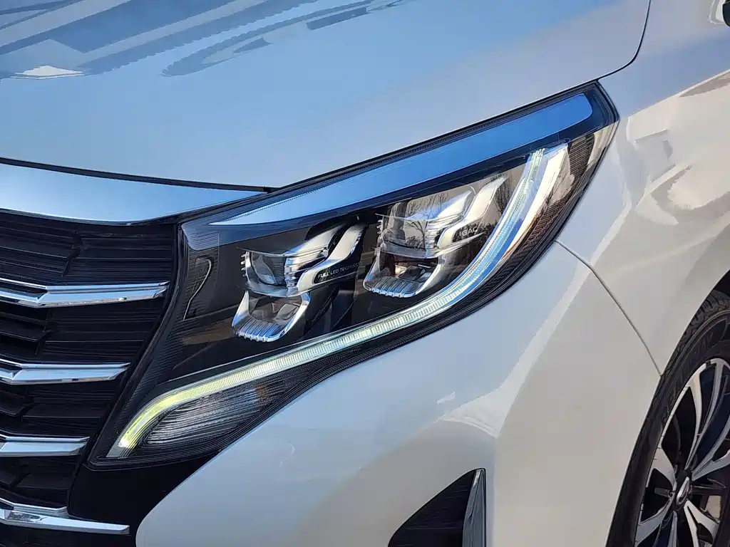 GAC Motor Trumpchi M8 2021 — фото 23