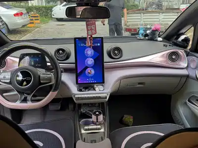 BYD Dolphin 2024