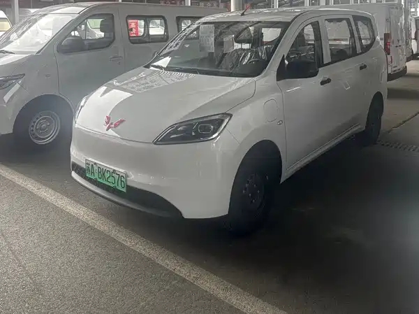 Wuling Hongguang New Energy 2026