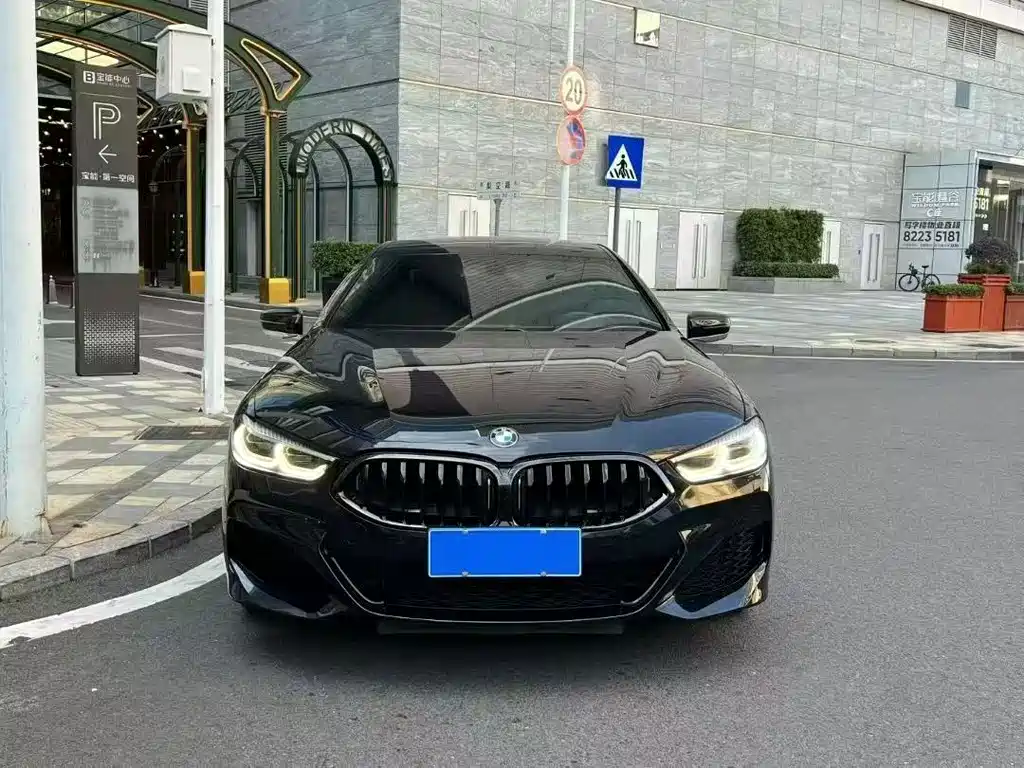 BMW 8 Series 2020 — фото 2