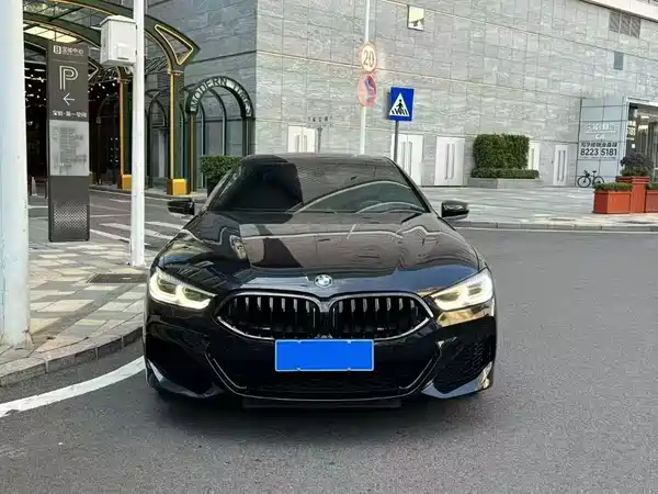 BMW 8 Series 2020