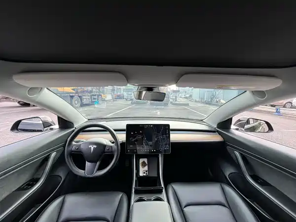 Tesla Model 3 2020