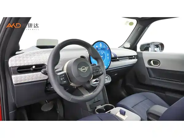 MINI MINI 2025