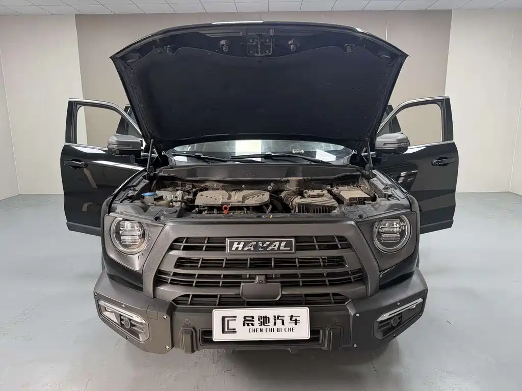 Haval Big Dog 2023 — фото 15