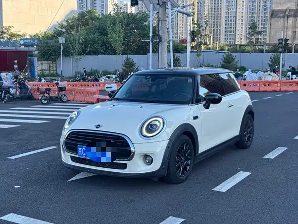 MINI MINI 2020