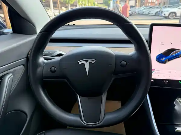 Tesla Model 3 2019