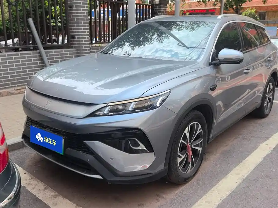 BYD Pro New Energy 2025 — фото 1