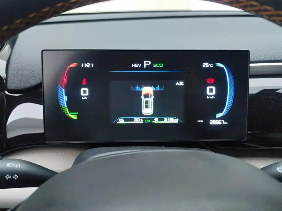 BYD Pro New Energy 2024 — фото 14