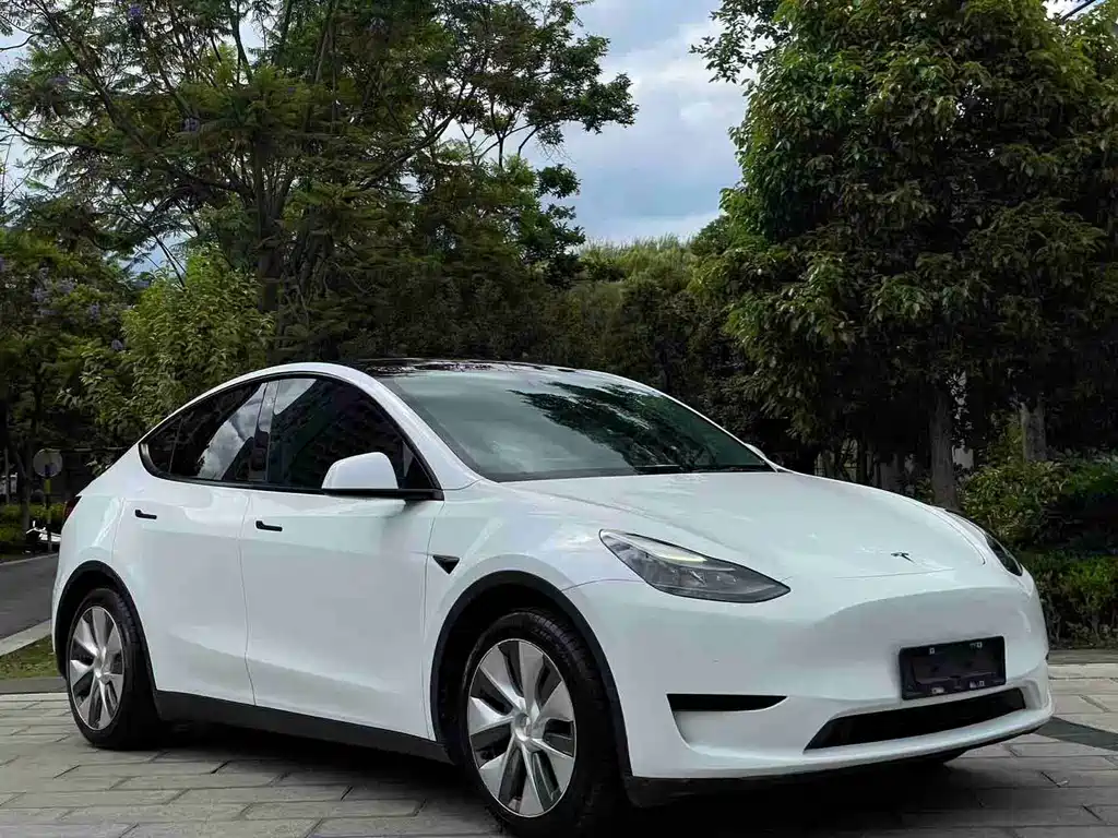 Tesla Model Y 2023 — фото 3