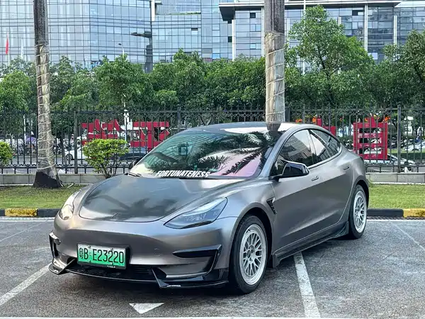 Tesla Model 3 2021