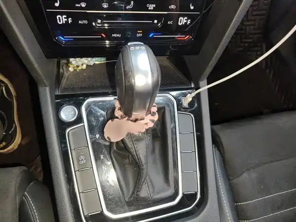 Volkswagen Magotan 2021