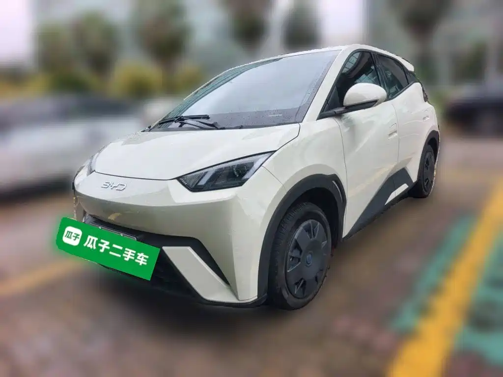 BYD Seagull 2024