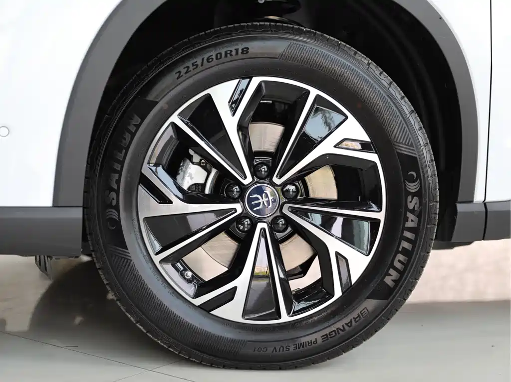 BYD Pro New Energy 2025 — фото 4