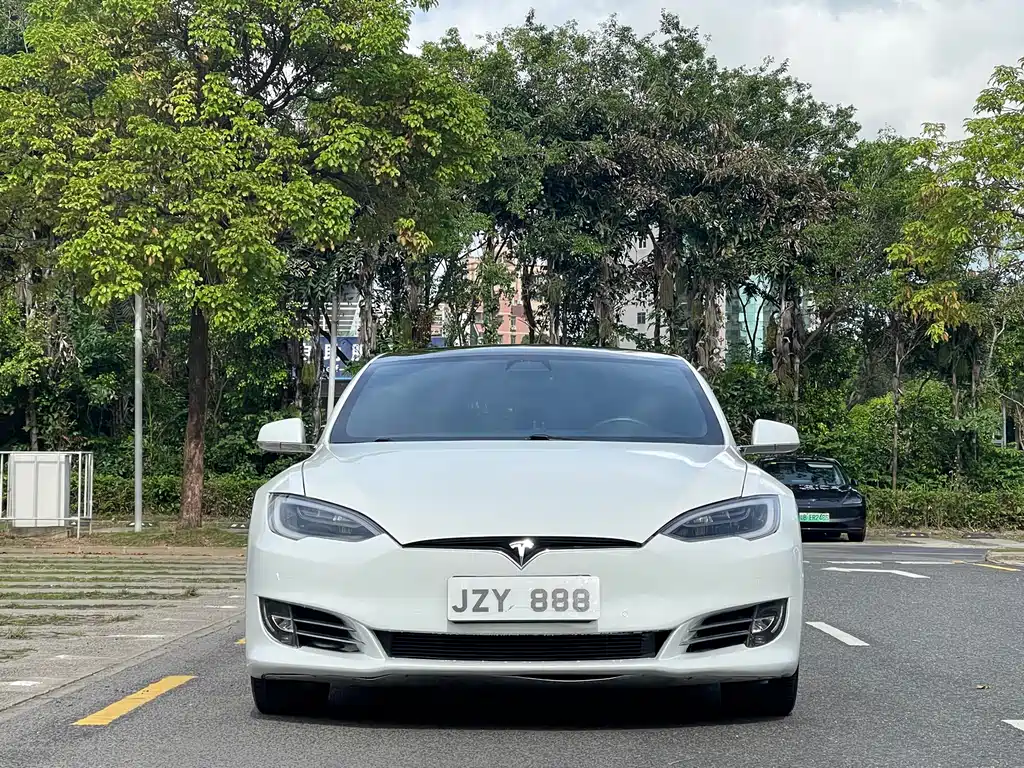 Tesla Model S 2019 — фото 2