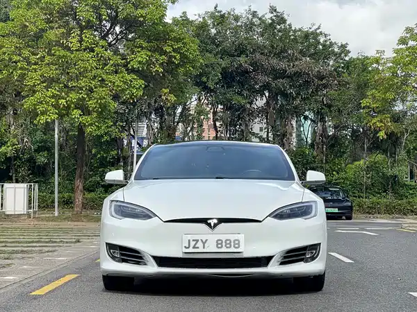 Tesla Model S 2019