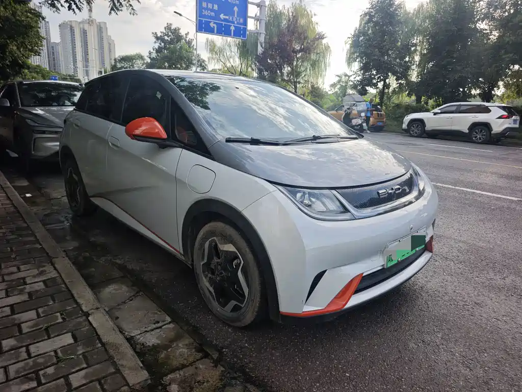 BYD Dolphin 2022