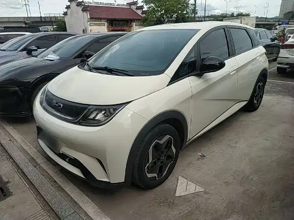 BYD Dolphin 2024
