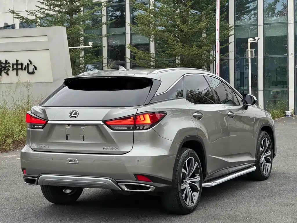 Lexus RX 2021 — фото 8