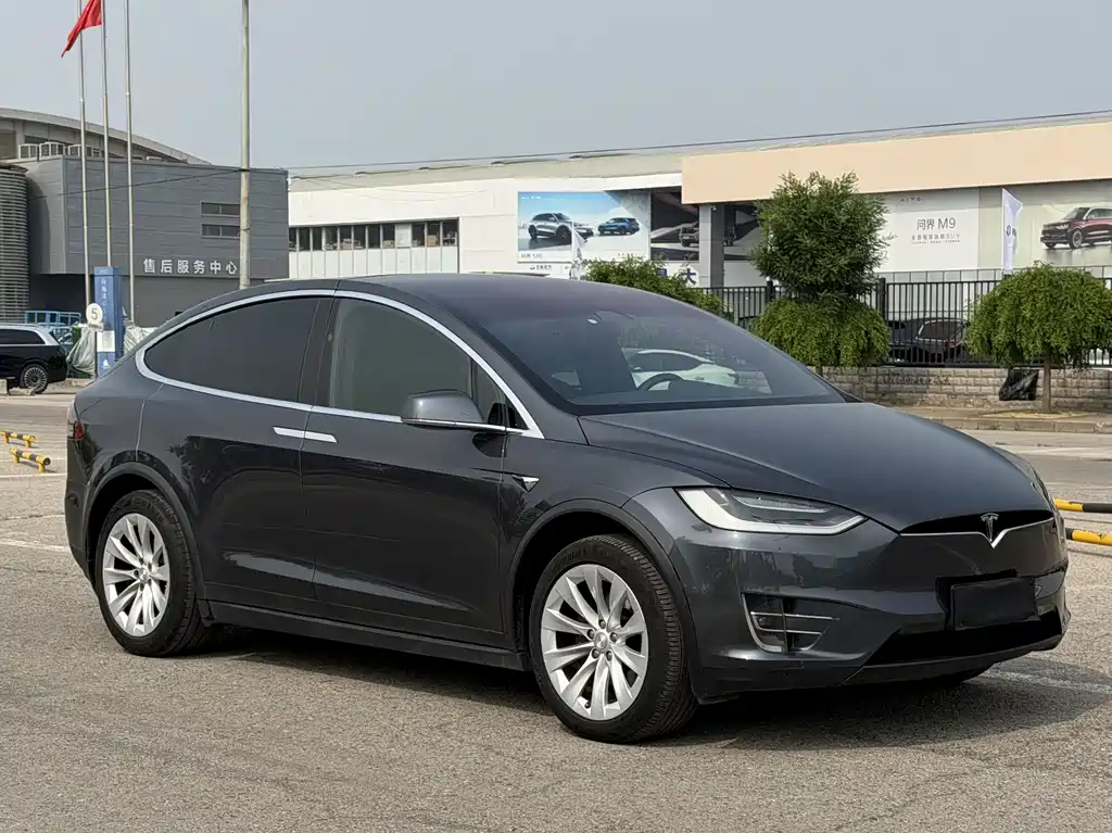 Tesla Model X 2017 — фото 3