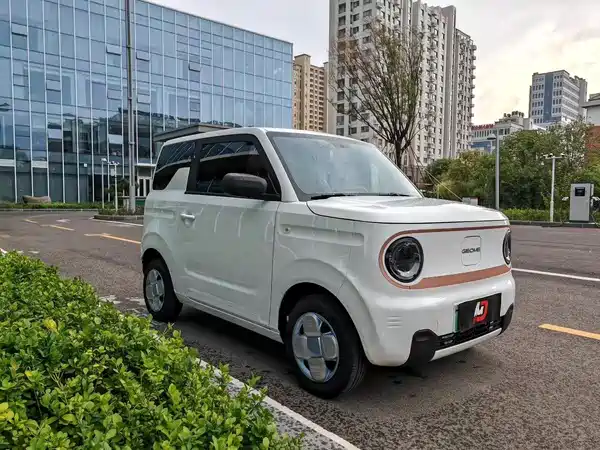 Geely Galaxy Panda 2024