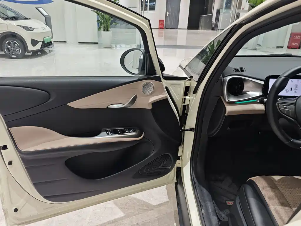 BYD Dolphin 2025